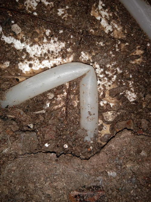 东明堵点精准查找